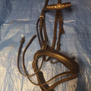 paard