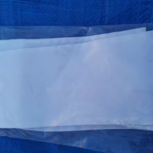plastron