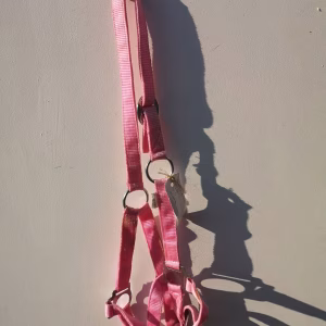 halster best wel donker roze Mc curtis erop