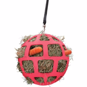 slow feeder