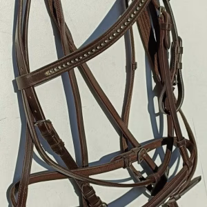 hoofdstel
