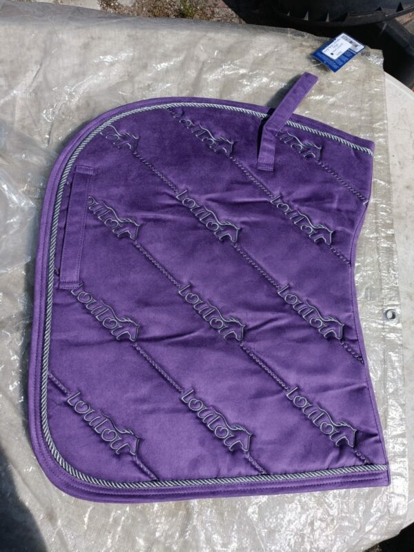 harry horse cob vz