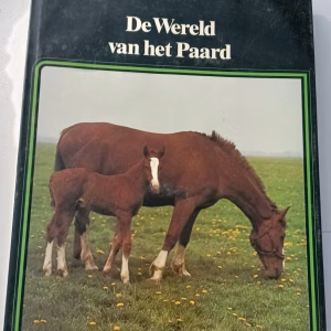 De wereld van het paard