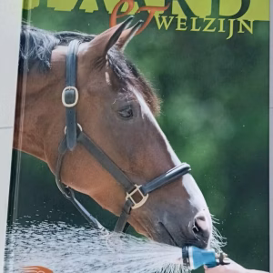 paard welzijn