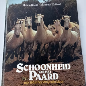 schoonheid van het paard