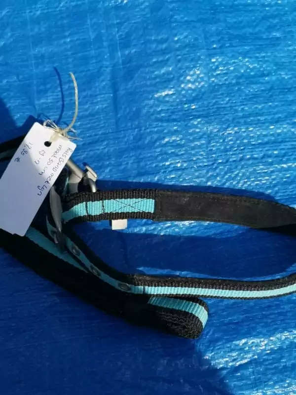 halsband en riem