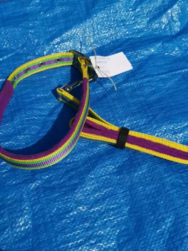 halsband en riem